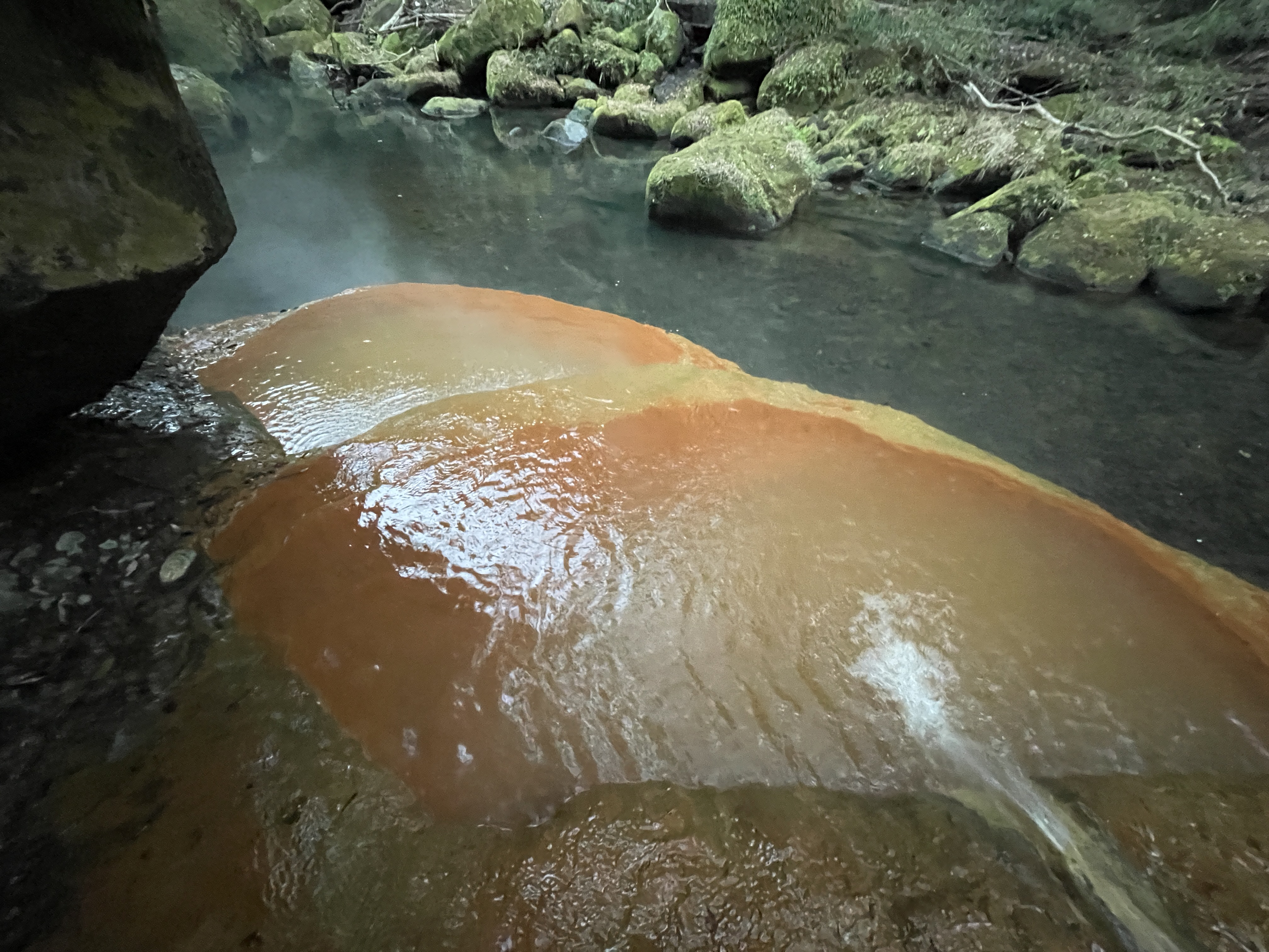 塩浸温泉 竹林の湯（野湯）
