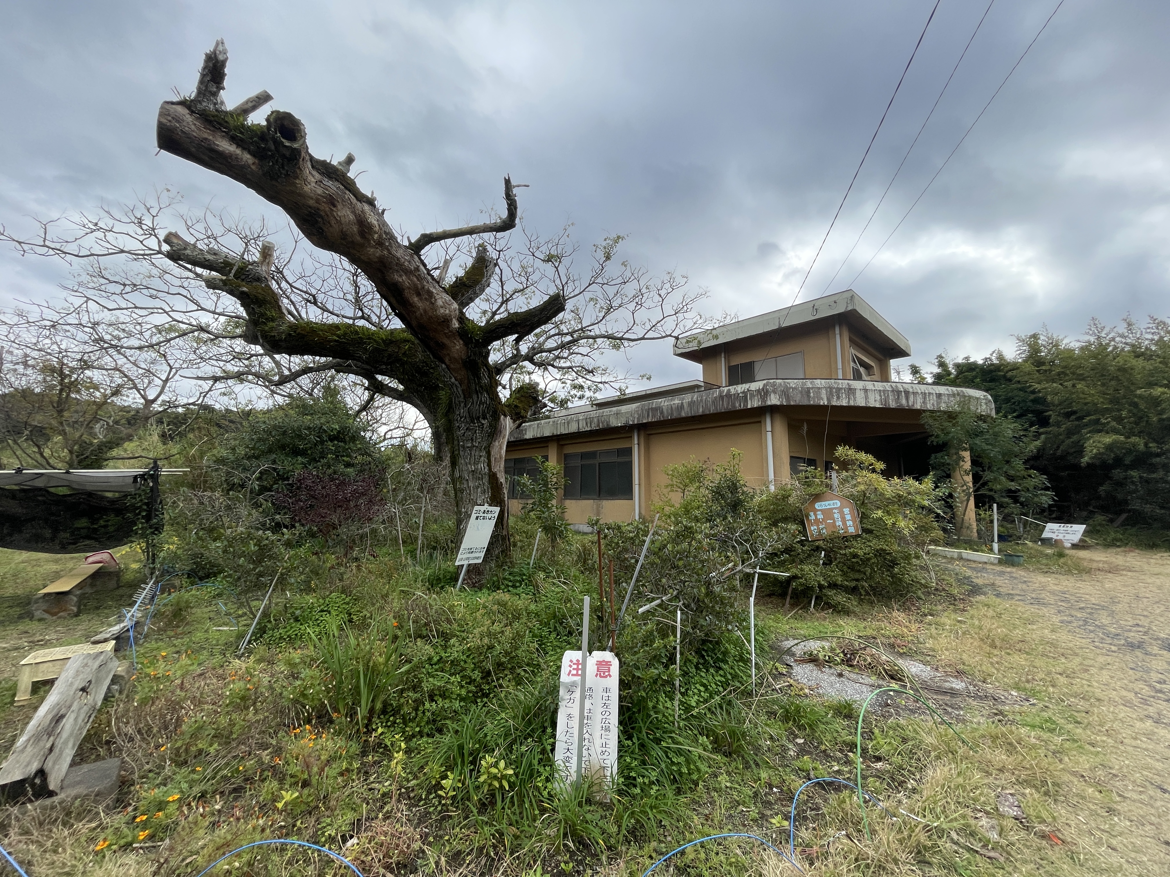 開聞温泉